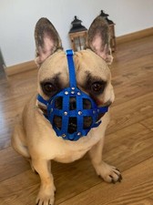 Museruola per Cani per Bulldog Francese "Frenchies" | Nylon Forte | Si adatta a muso simile