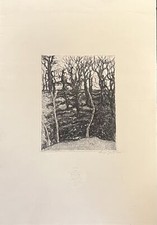 Bartolini Luigi Bosco Ceduo