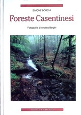 SIMONE BORCHI / FORESTE