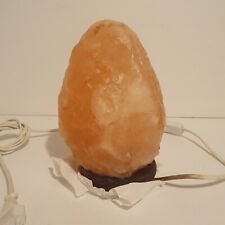 Lampada di sale rosa dell'Himalaya