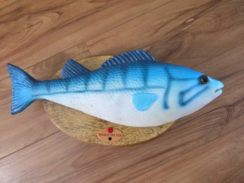 Frankie the fish singing - singing,