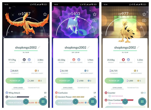 Combo shiny galarian - shiny,