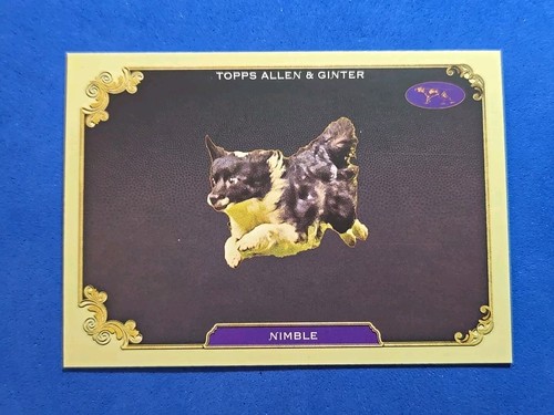 2024 nimble topps allen - 2024,