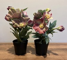 IKEA HELEBORES COPPIA DI