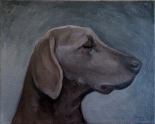 Quadro cane Weimaraner dipinto