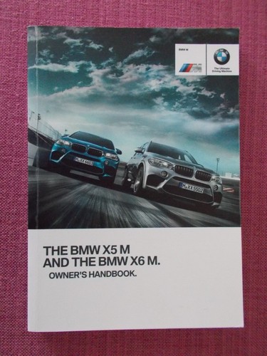 Bmw m - x5,
