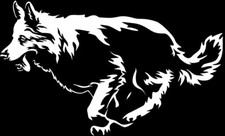 Adesivo PASTORE SVIZZERO -