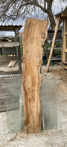 Tavola legno ulivo - in,