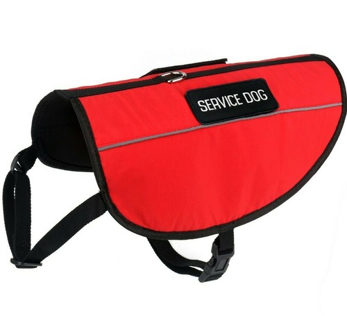 Servizio gilet per cani - gilet,