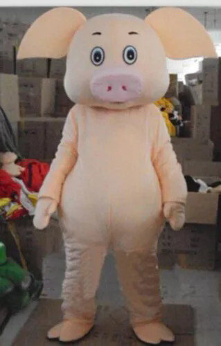 Costume mascotte cartone