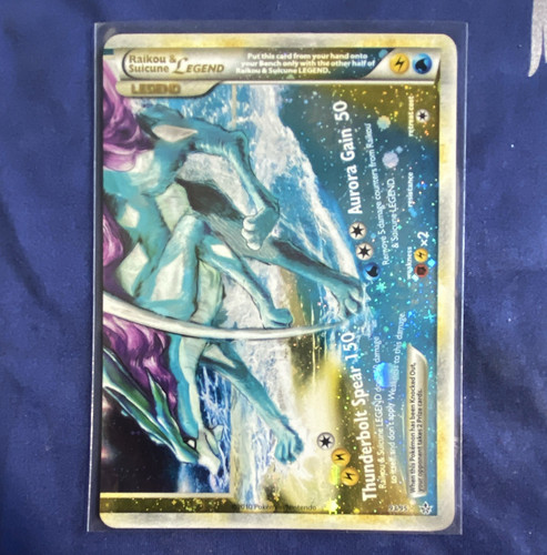 Pokemon raikou suicune - pokemon,