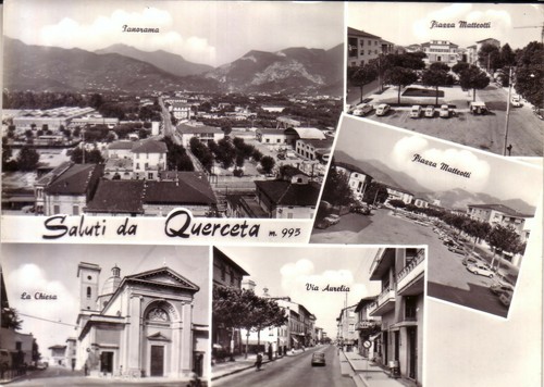 Querceta seravezza n - di,