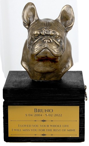 Bulldog francese urne sulla - urne,