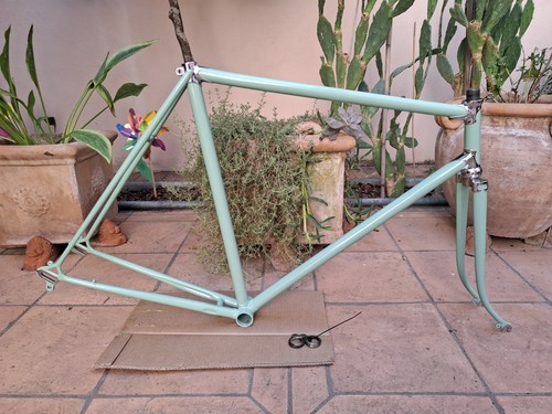 Bianchi campione del - del, mondo