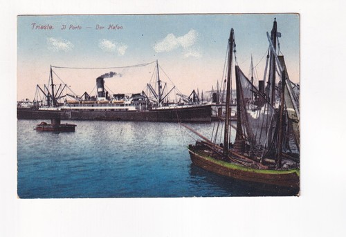 1202 cartolina trieste il - -,