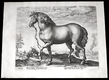 1580-RARA-CALABER-CALABRIA-STRADANO-JAN VAN DER STRAET-HORSES-CAVALLI