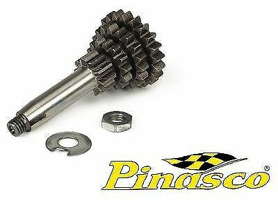25270901 pinasco cambio 4 - cambio, 3/4