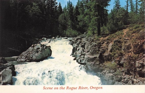 Scena sul fiume rogue - sul,