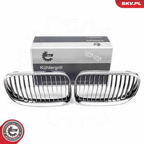 Griglia radiatore esen skv - griglia,