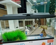 **NUOVO** Fish Tank acquario