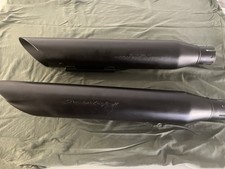 terminali screaming eagle