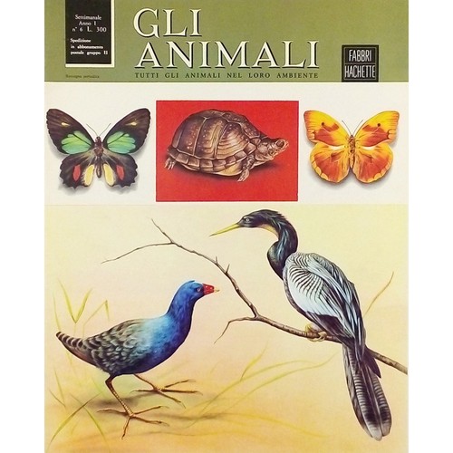 Enciclopedia gli animali anno - gli,