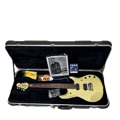 Chitarra elettrica ernie ball - chitarra,