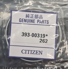 GIUNTO FONDO CITIZEN 393-00319