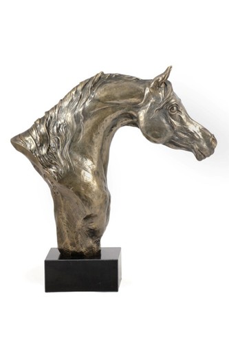 Cavallo allevamento - cavallo, da