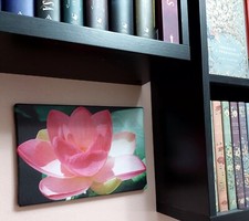 Stampa Poster Foto Su Tela con