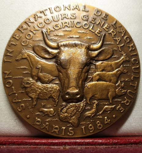 1984 59mm medaglia arte bronzo - arte,