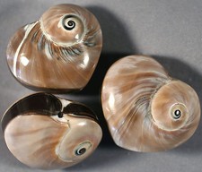 PERLINA PENDENTE FOCALE