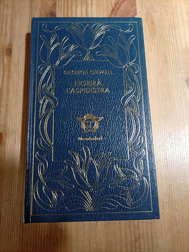 Fiorira aspidistra di - l'aspidistra,