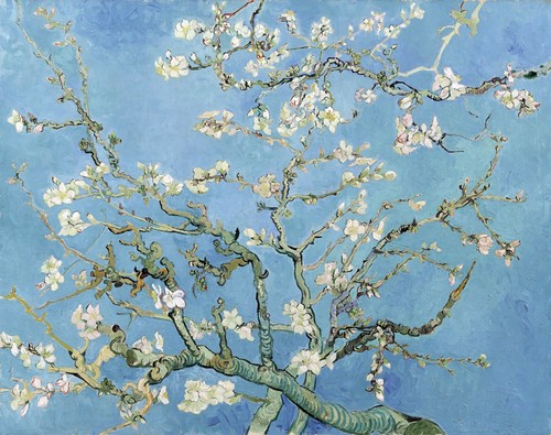 Vincent van gogh riproduzione - vincent,