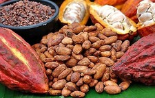 40 - 1000 semi di cioccolato