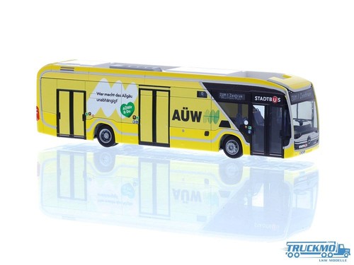 Rietze haslachbus kempten - rietze,
