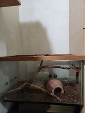 TECA PER TERRARIO RETTILI - DIMENSIONI: L 80 x P 50 x H 45 Completa 