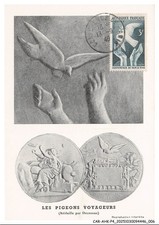 CAR-AHKP4-0203-CARTINE-MAXIMUM