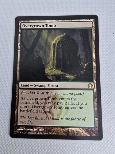 Wizards overgrown tomb land - wizards,