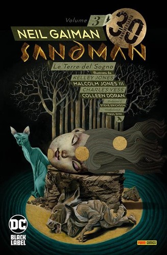 Panini comics sandman - comics,