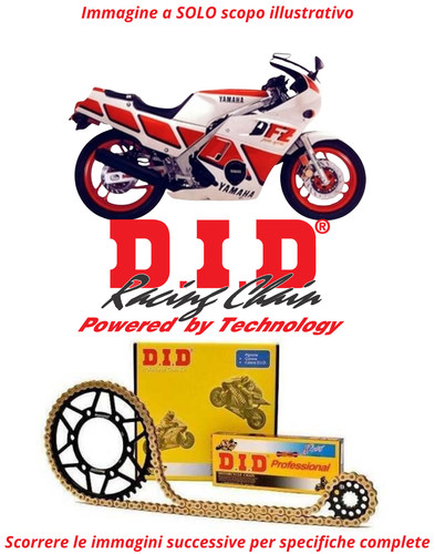 Kit trasmissione catena - trasmissione,