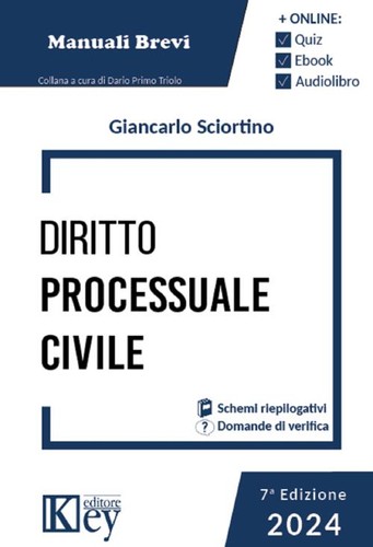 Diritto processuale civile - diritto,