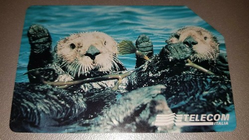 Scheda telefonica 5000 animali - 5000,