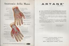 TAVOLE ANATOMICHE LOTTO 14 LEDERLE MEDICINA ANATOMIA