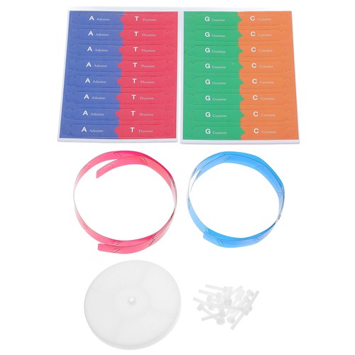 Modellino dna kit - dna,
