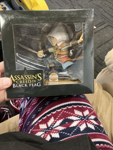 Assassins creed bandiera - iv,
