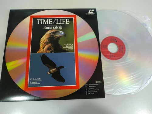 Time life aquila dorata falco - life,