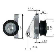 Cinghia trapezoidale