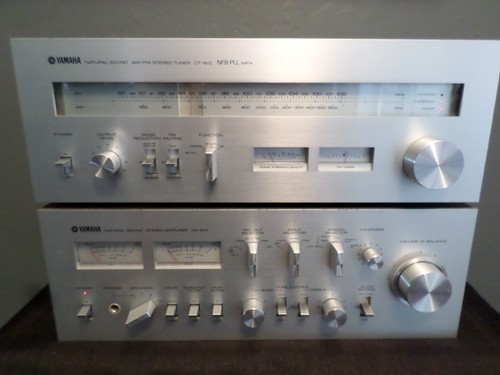 Amplificatore audio naturale - amplificatore,