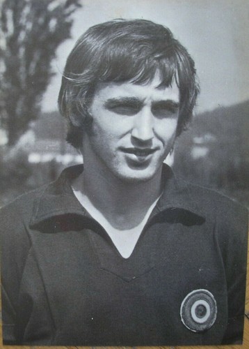 Torino toro calcio - toro,